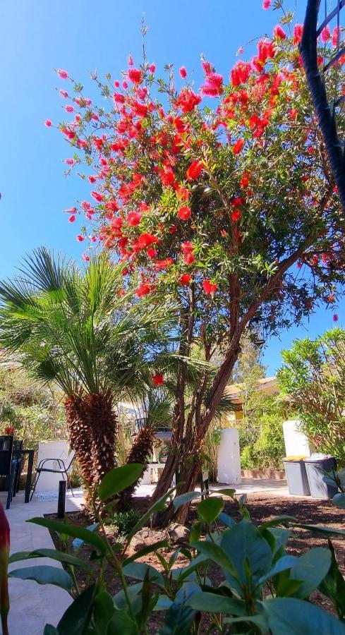 La Villetta Tre Palme Valledoria  Εξωτερικό φωτογραφία