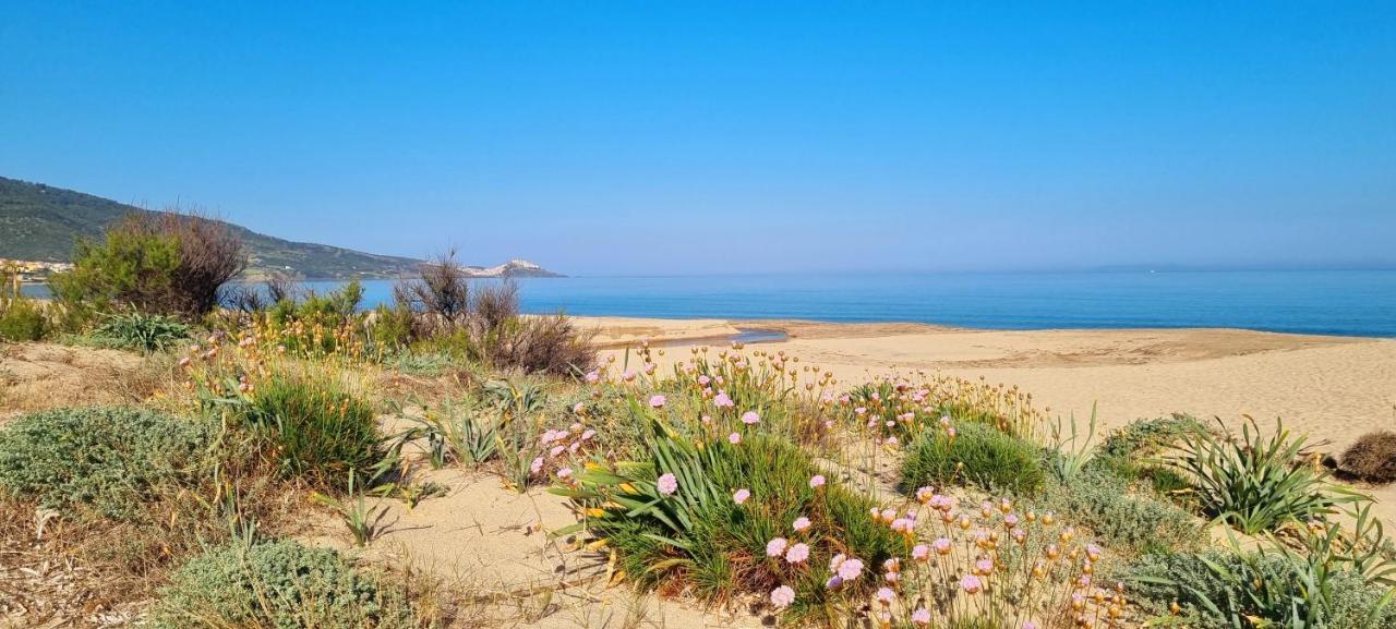 La Villetta Tre Palme Valledoria  Εξωτερικό φωτογραφία