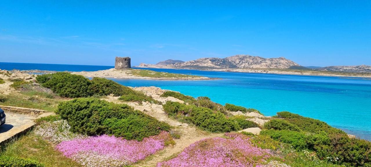 La Villetta Tre Palme Valledoria  Εξωτερικό φωτογραφία